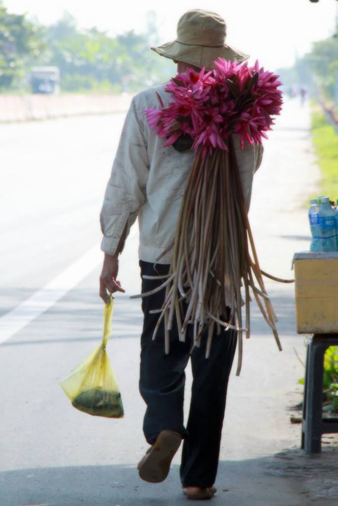 Trên cung đường Vĩnh Long, chợt bắt gặp một người đàn ông với bó bông súng vừa nhổ trên vai - Ảnh: HUỲNH TRÂN