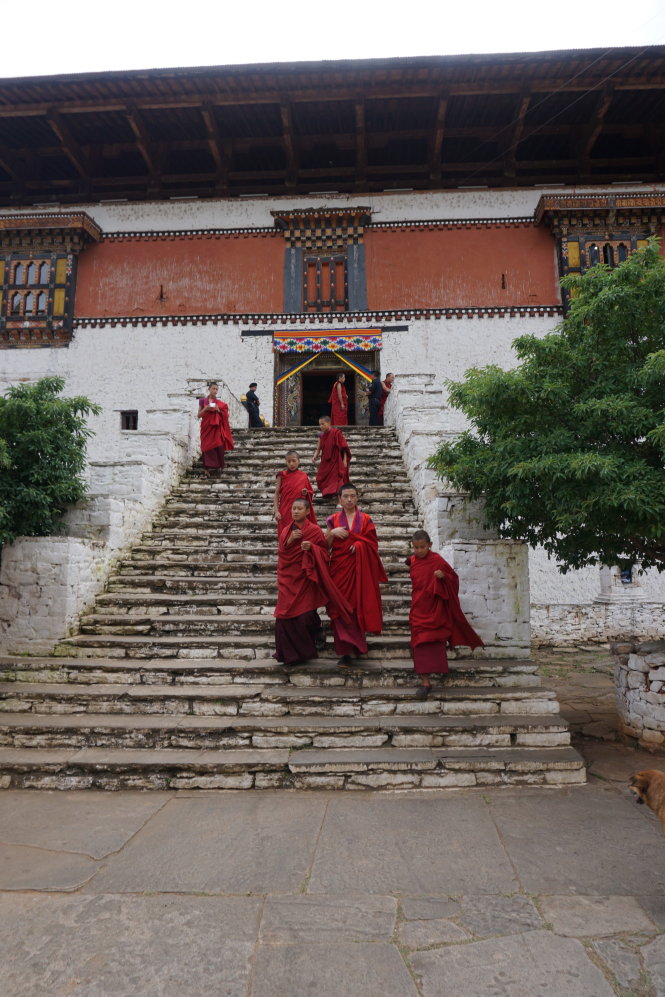 Ở Bhutan tự do tôn giáo nhưng hầu hết theo đạo Phật tiểu thừa. Vậy nên cả nước không có… lò mổ, phải nhờ người Ấn qua giết mổ gia súc để ăn. Người Ấn bận thì cả nước ăn chay.